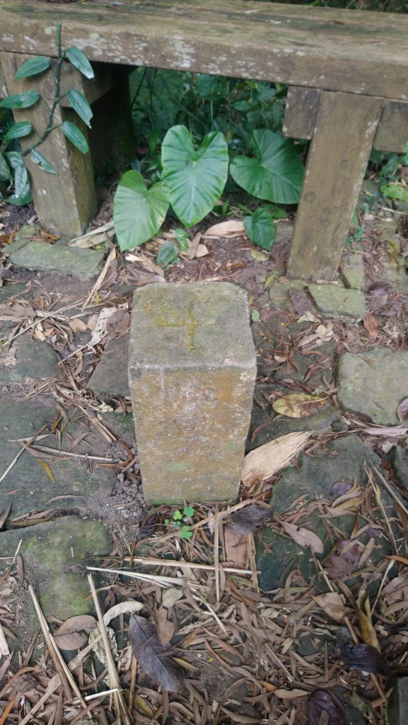 崁頭山步道_818970