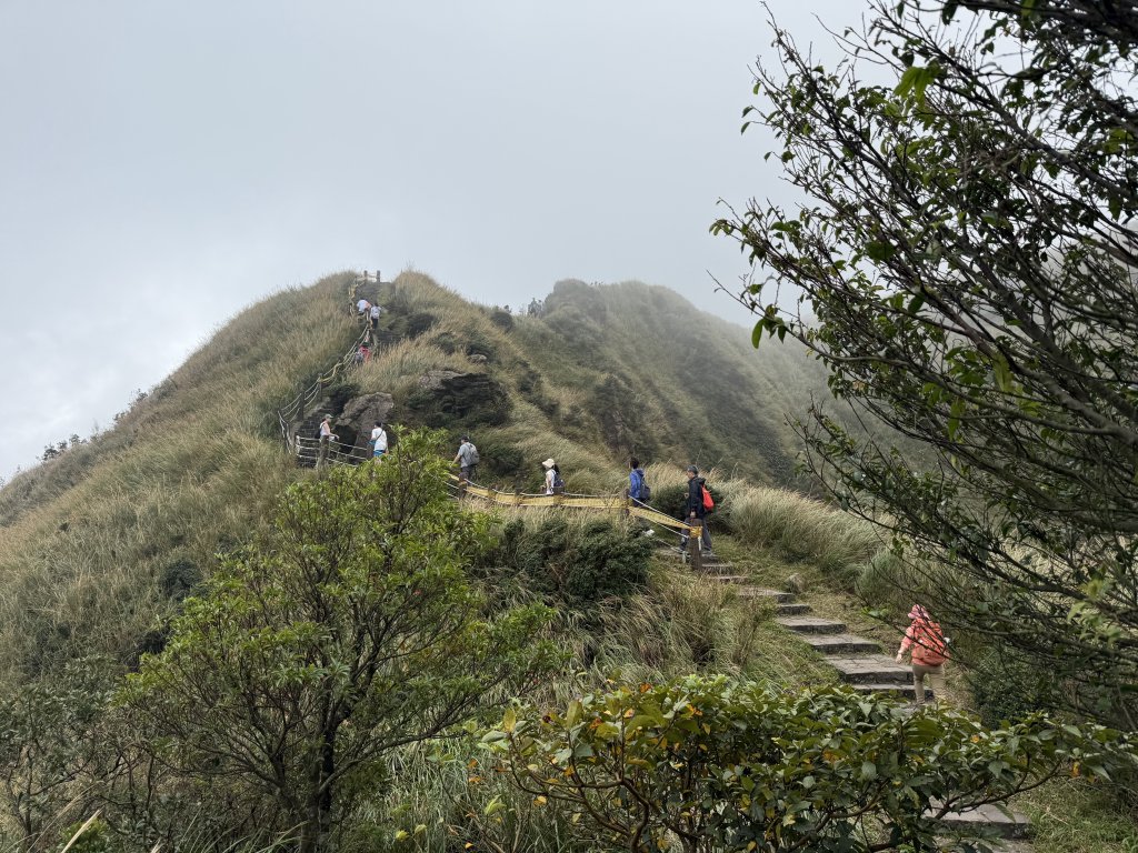 七星山 冷水坑上小油坑下環七星山人車分道O繞 20251108_2934883
