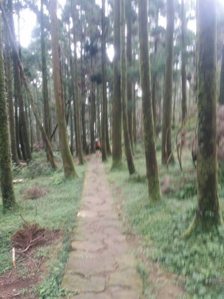 陽明山之七星山、夢幻湖、風櫃口步道健行_172165