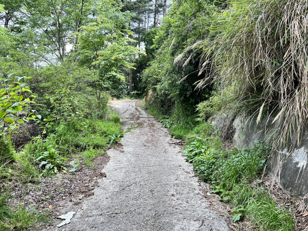 將軍廟上天鑾池上下_2162778