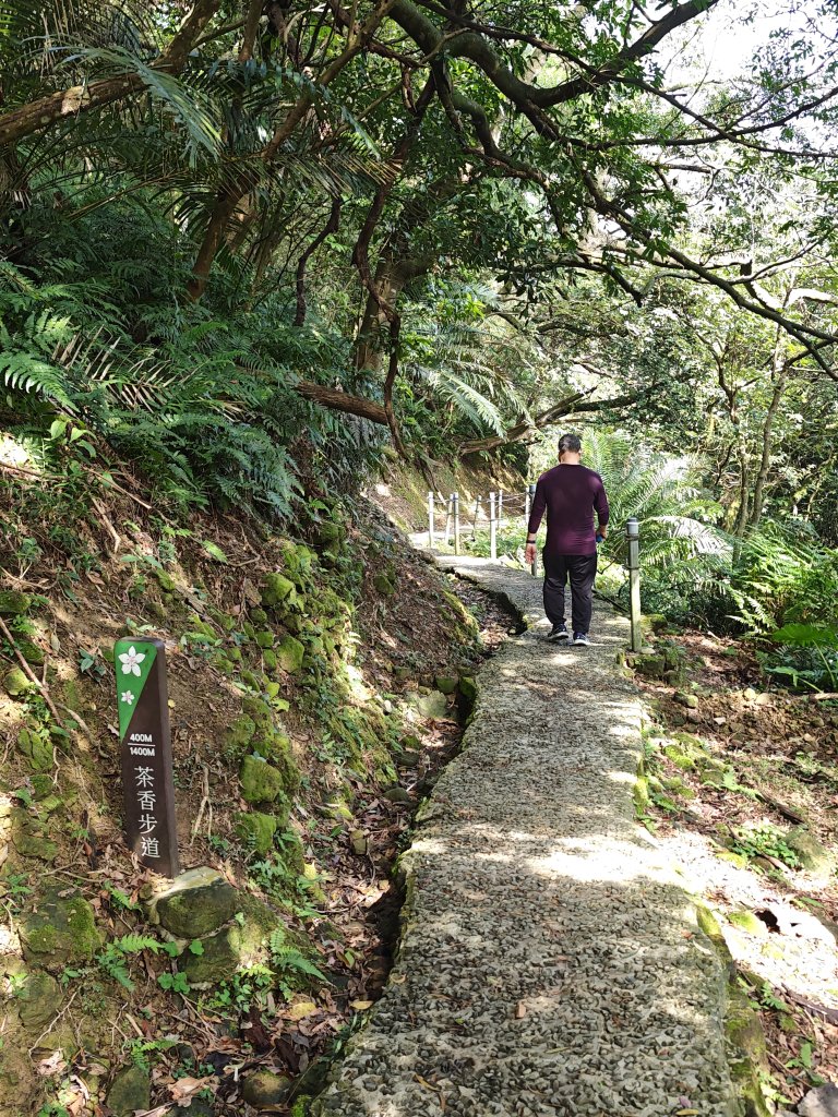 2026-0221造鎮-太極嶺-桐花公園-承天禪寺-永寧站_3005830