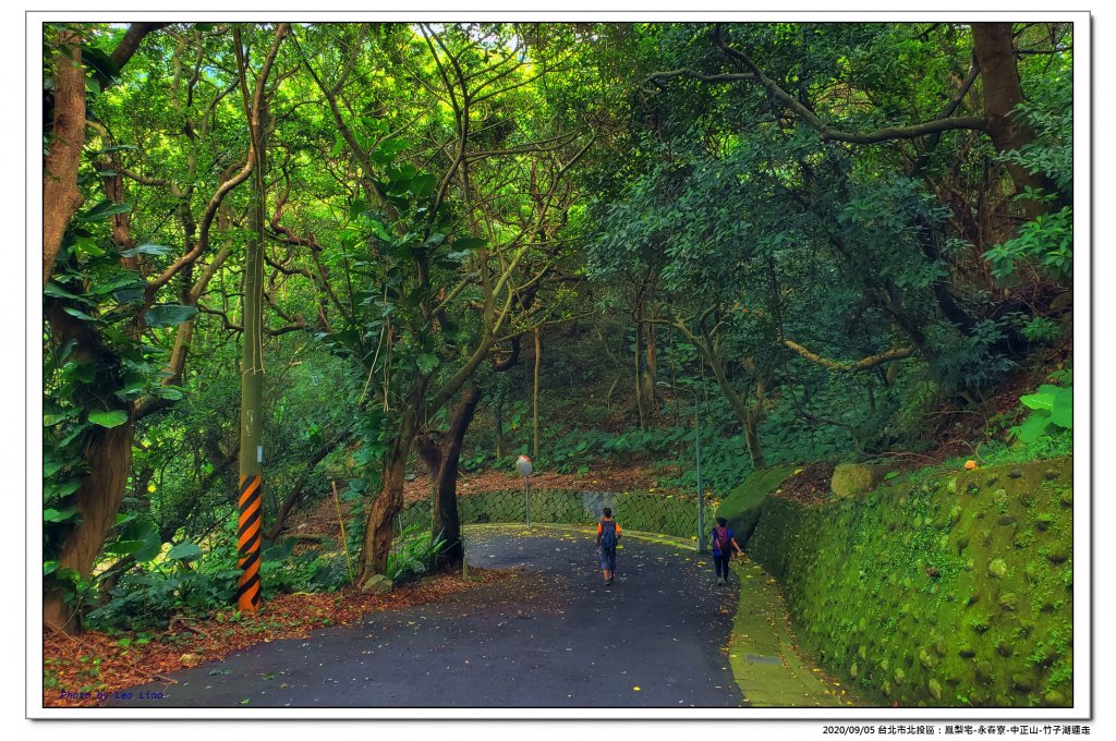 北投鳳梨宅-永春寮-中正山-竹子湖連走_1092765