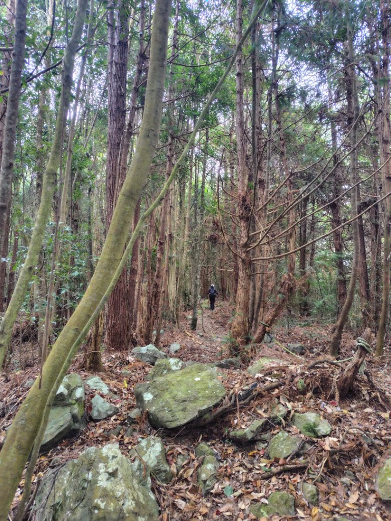 屋我尾山_2931473