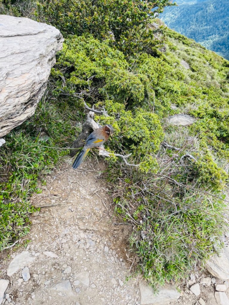 合歡北峰_2535093