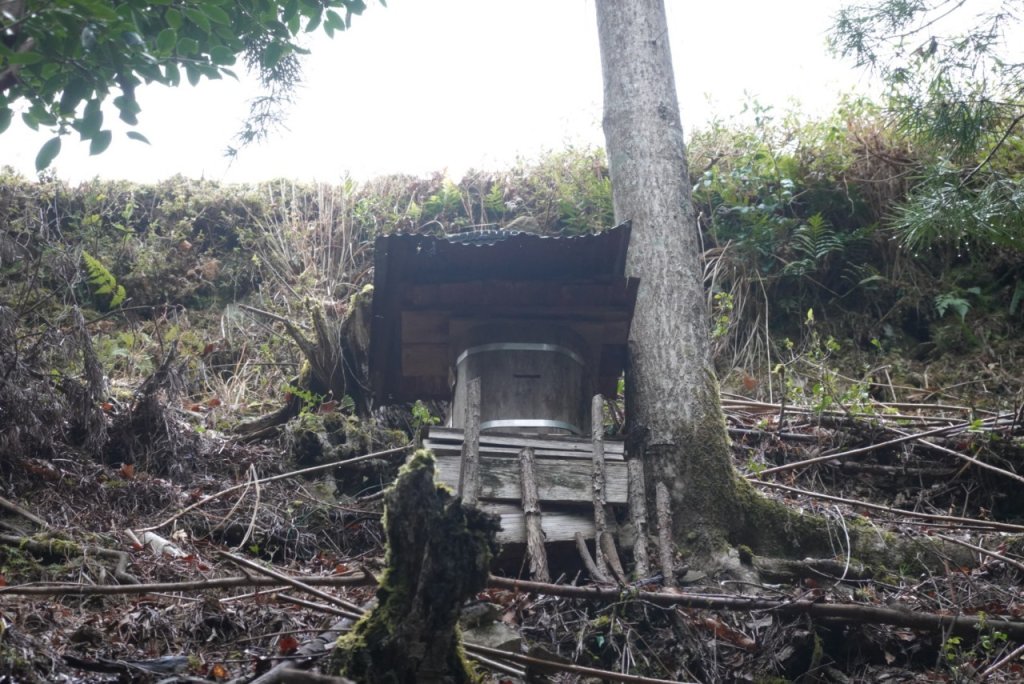 熊野古道小邊路.熊野三山_2485429