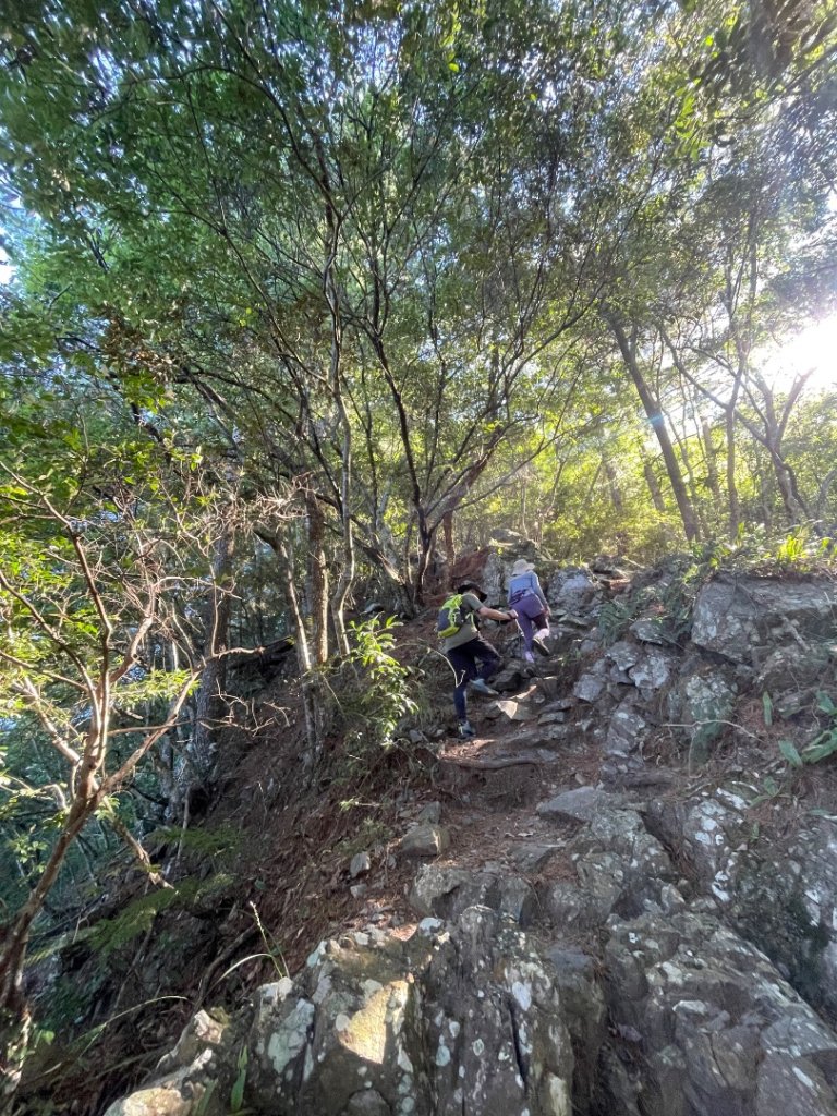 谷關七雄 《 馬崙山 》2025 09/06_2879764