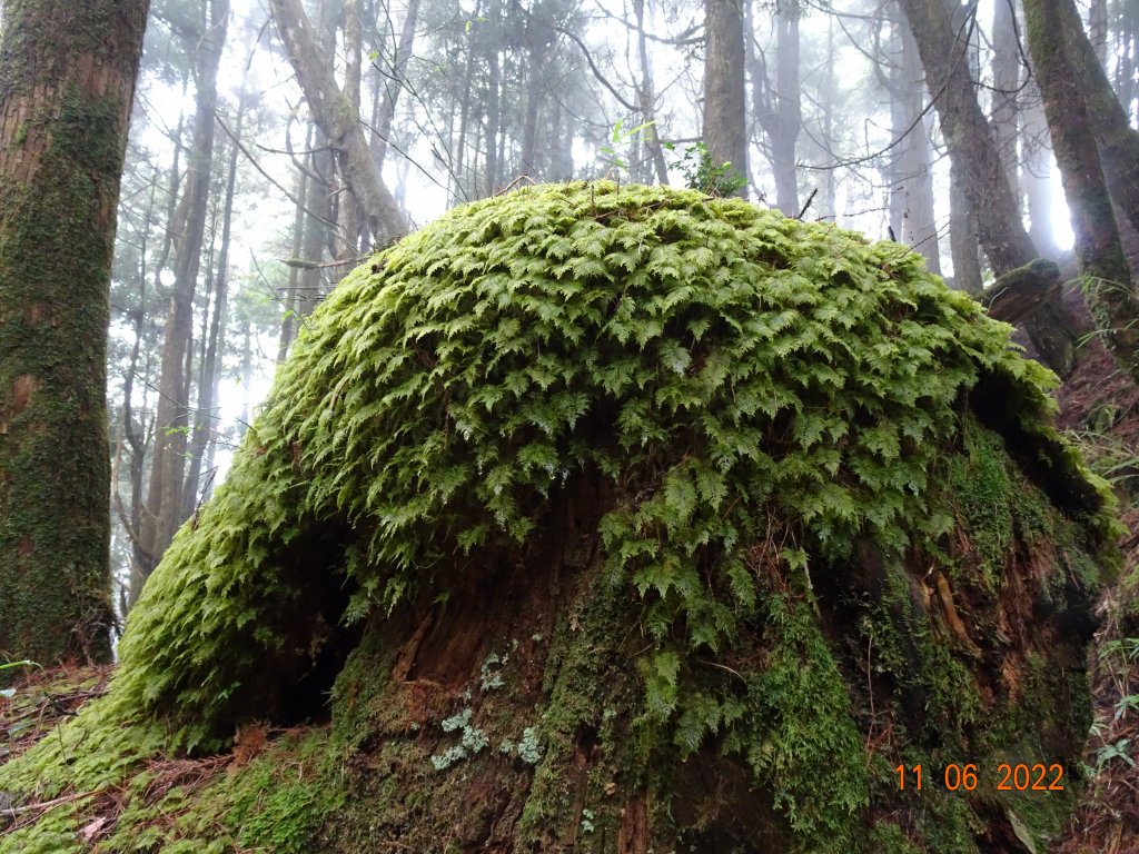 塔山（中塔山）封面圖