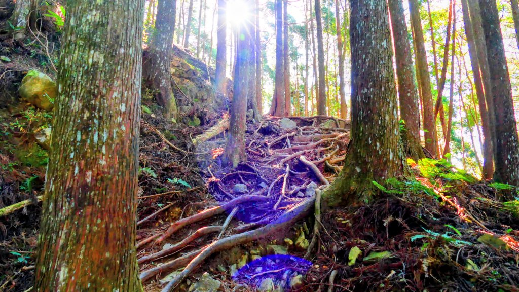 油羅山(一上三下)_2959129