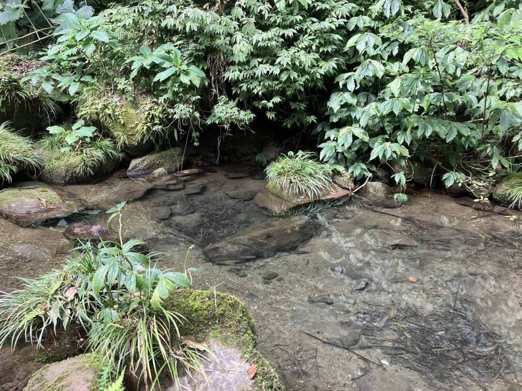 石門山_2433359