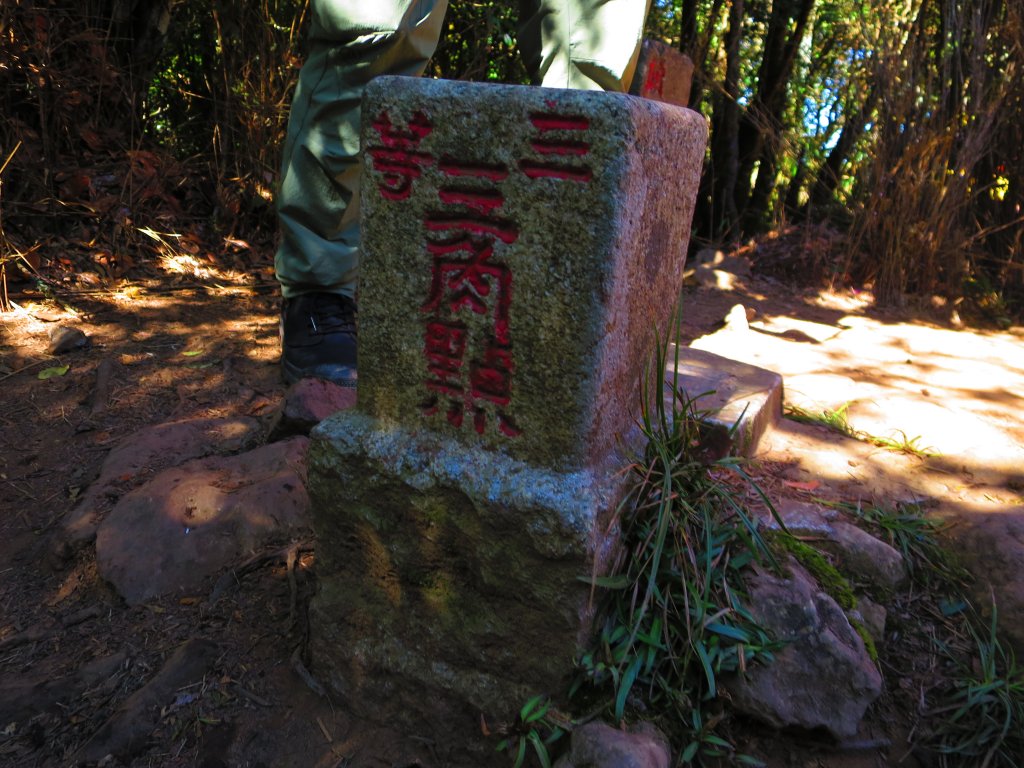 【新竹尖石】還記得北得拉曼山 這一季黃金山毛櫸的璀璨_1183414