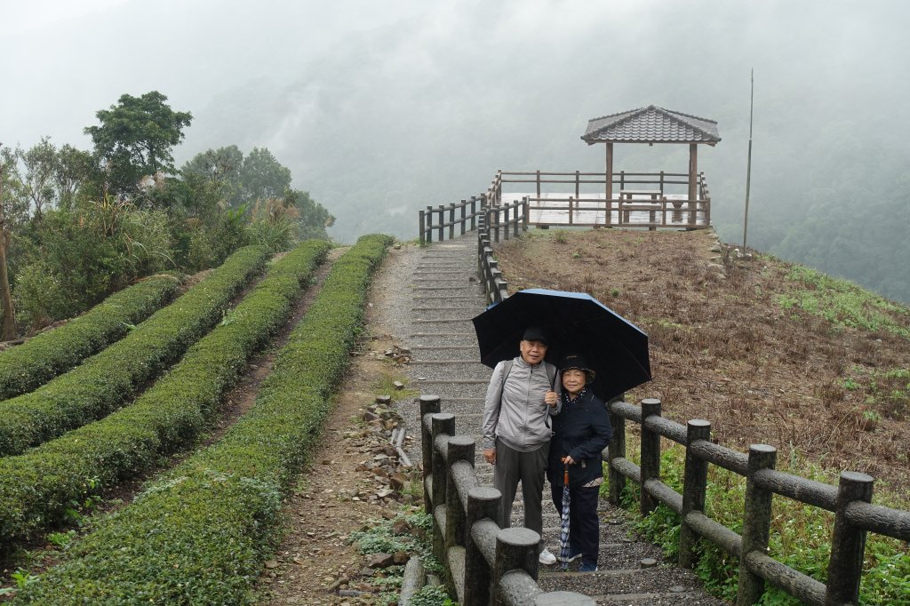 南山寺觀景台封面圖