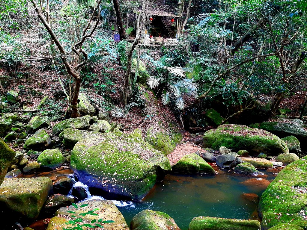 臺北大縱走4｜大湖公園捷運站至風櫃嘴_2472270