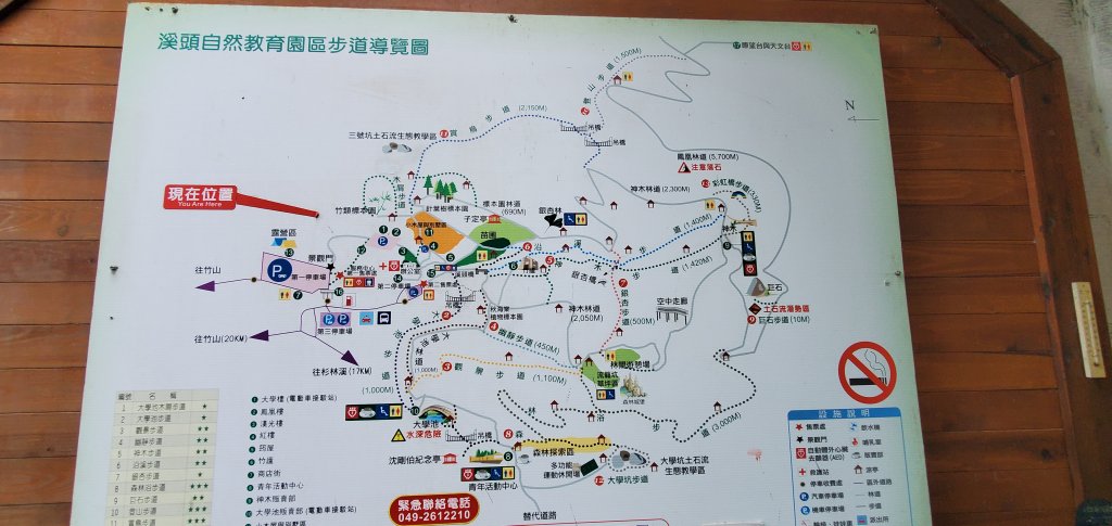 2024-05-19溪頭自然教育園區_2507970