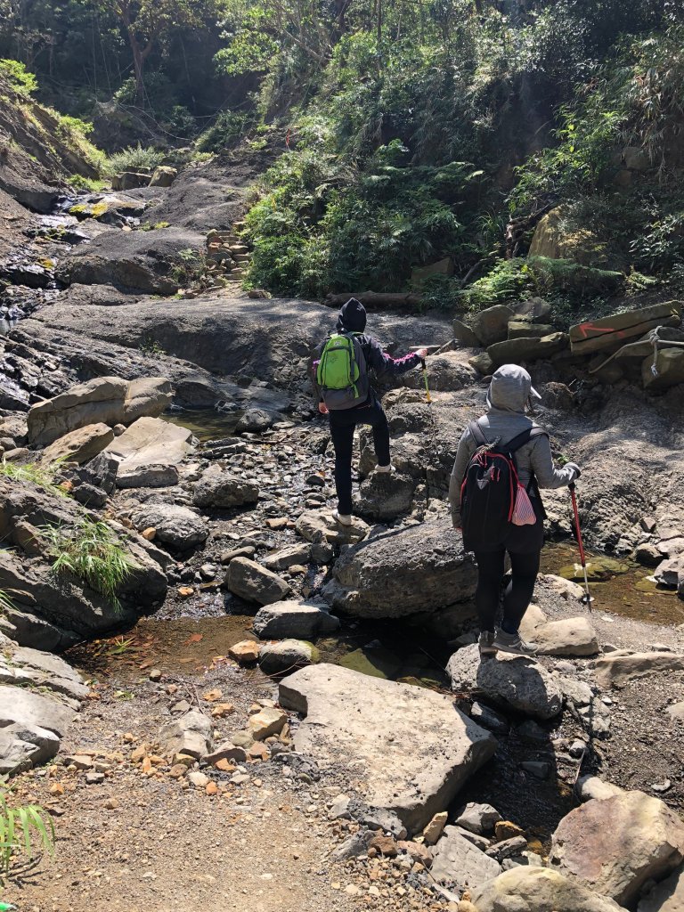 2020.03.08里龍山_878267