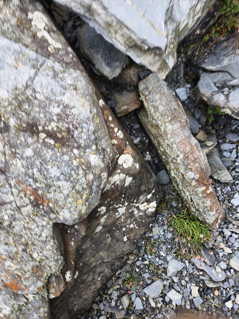 北一段(04/14)中央尖山 2025_0906~13_2885644