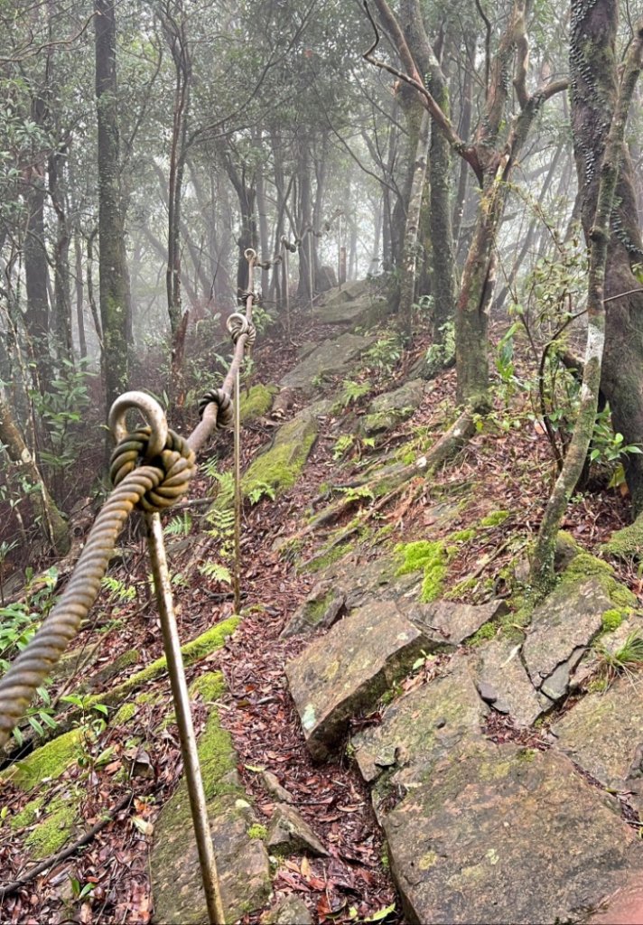 烏來大桶山.大桶山東峰.四崁水山_2450726