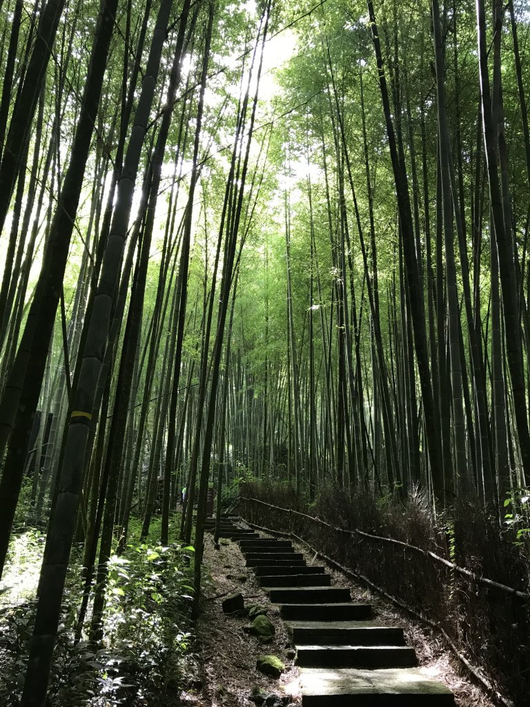 109年7月12日嘉義大凍山_1040071