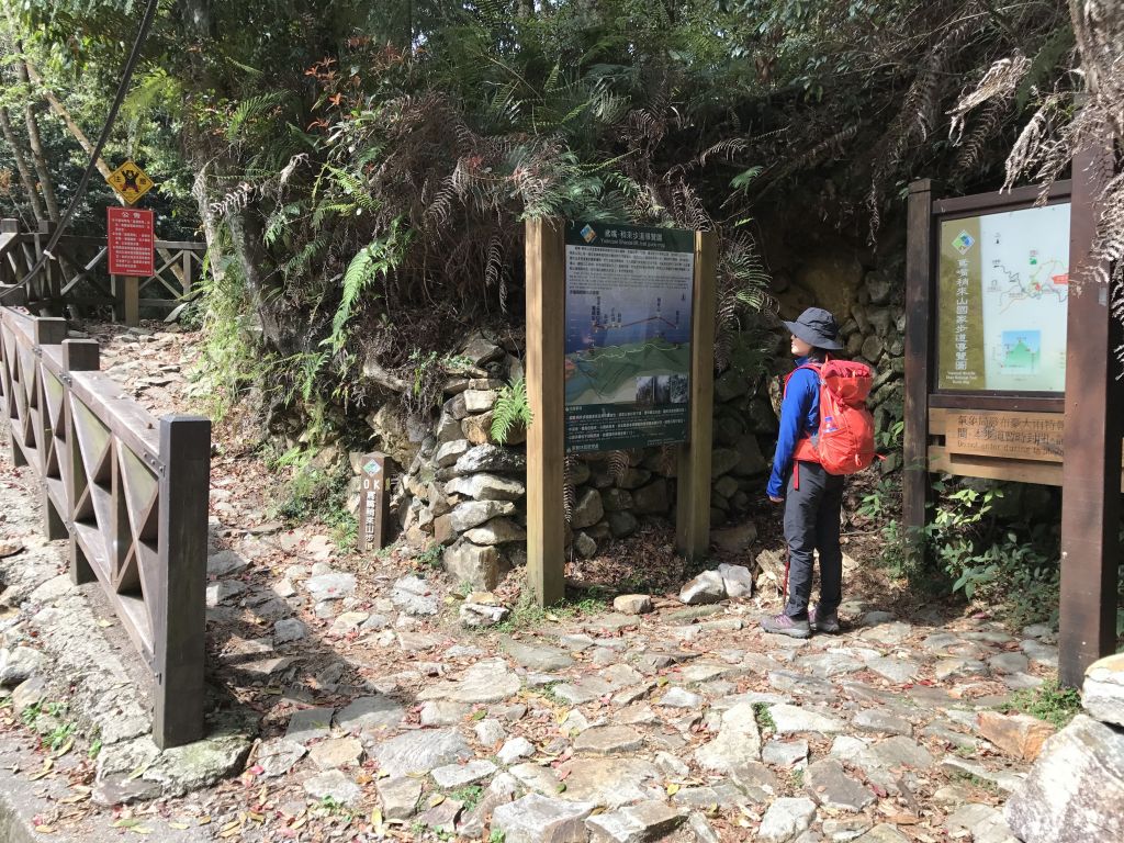 登橫嶺山環走自然步道_118186