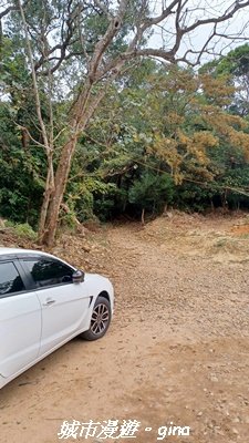 【苗栗三義】台灣百大必訪步道。 火炎山、南鞍古道O繞x火炎山下花海_2954182