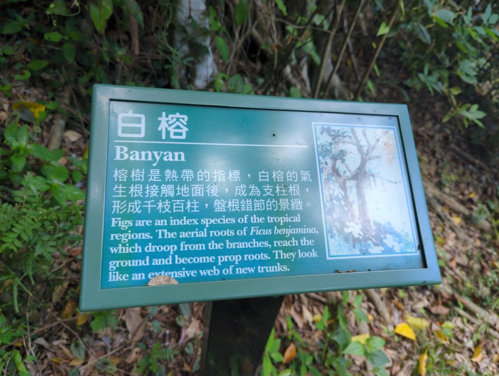 2024.06.09－墾丁國家公園_2523820