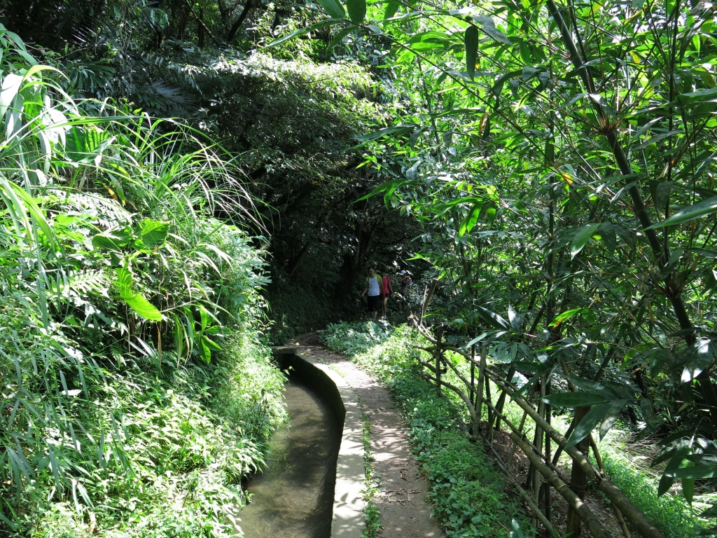 始祖鳥X健行筆記坪頂古圳半日健行活動_50781