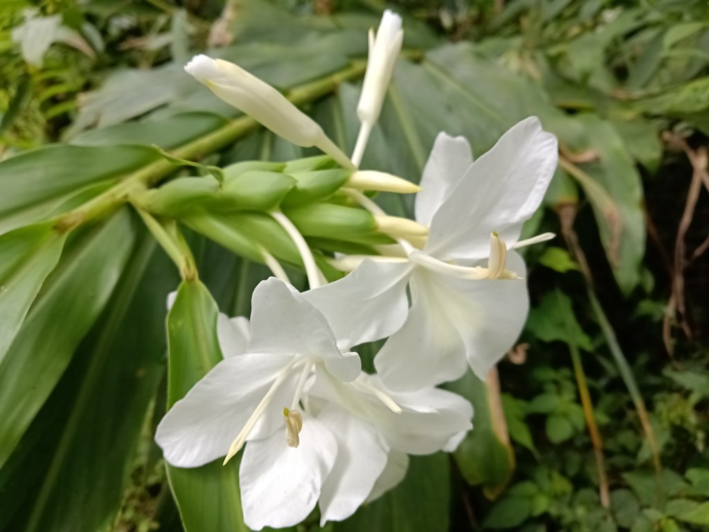 平溪區平溪子山遇雷雨O型_2850088