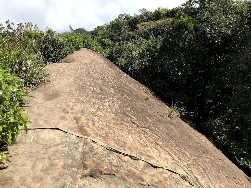 溪洲山_頭寮山_石龜坑山_白石山縱走20201019_1965482