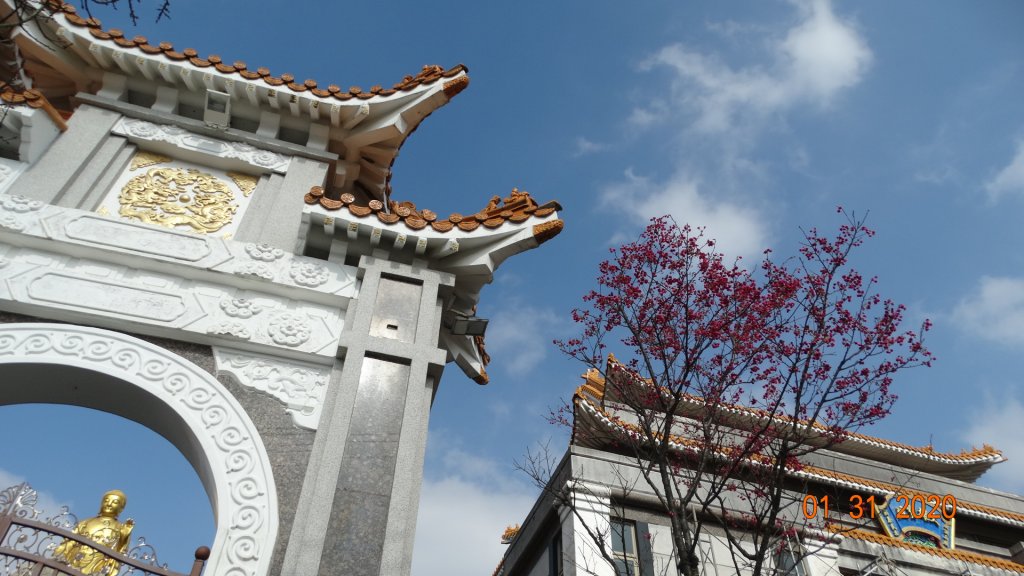 追花是簡單的快樂，賞花是恬淡的幸福3_819078