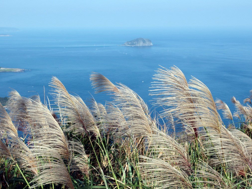 基隆山封面圖