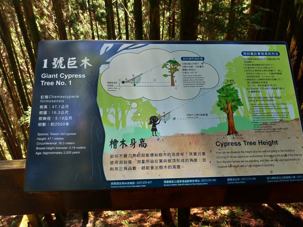 檜山巨木群步道_1662903