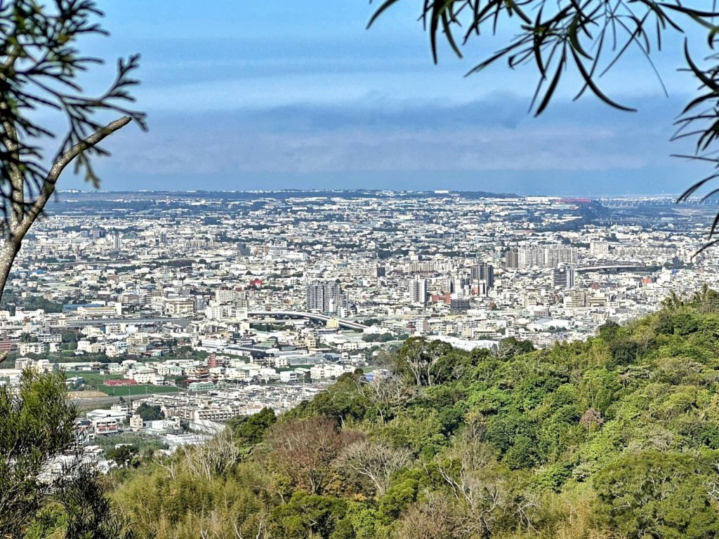 聚興山 新田步道 龍興巷落羽松_1994535