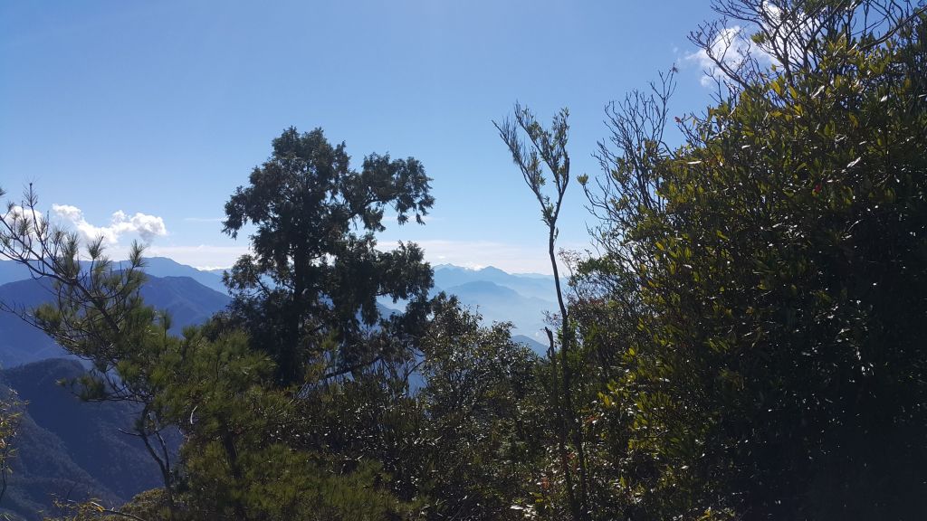 八唐縱走 2016 12 10_138604