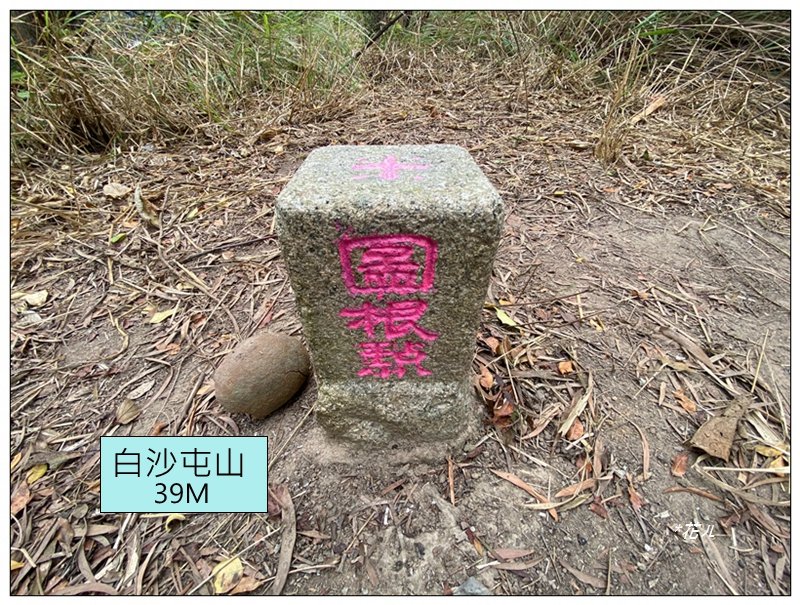 三媽縱走 ( 半天寮山、好望角、白沙屯山 連走 )_2973289