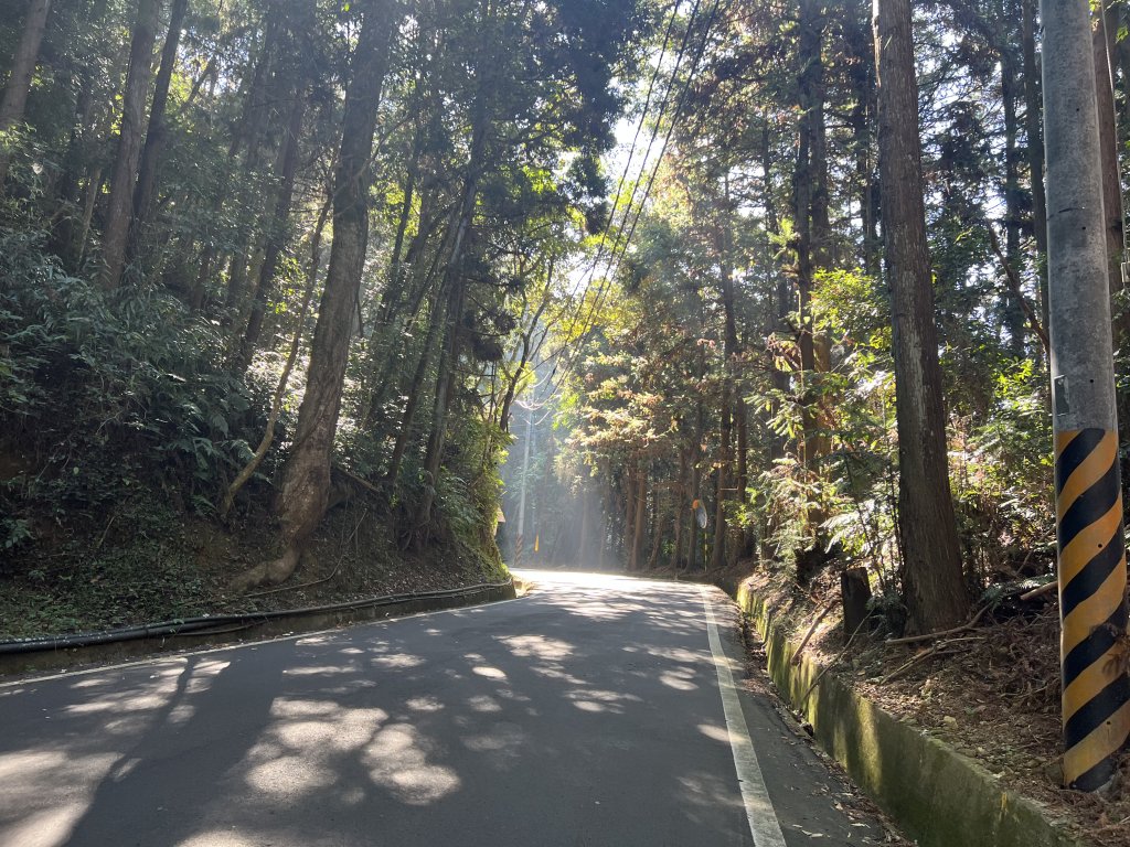 鳶嘴山西稜線標準O形_1865587