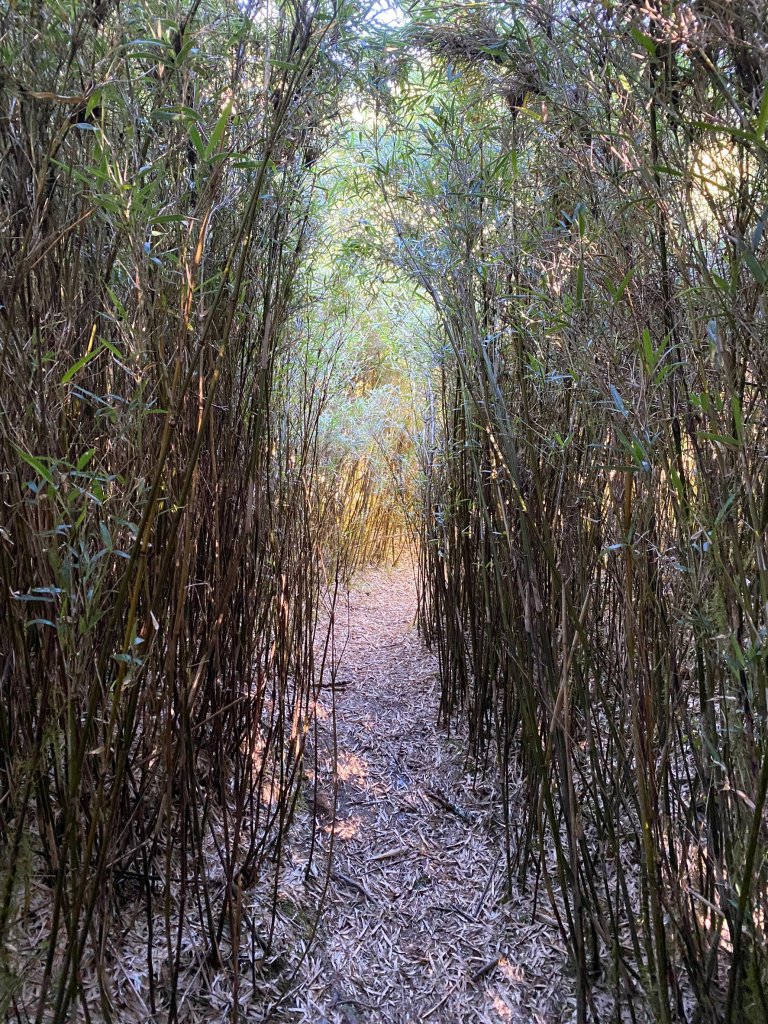 2022/10/02 合歡北峰下天巒池，登武法奈尾山，出將軍廟_1866810