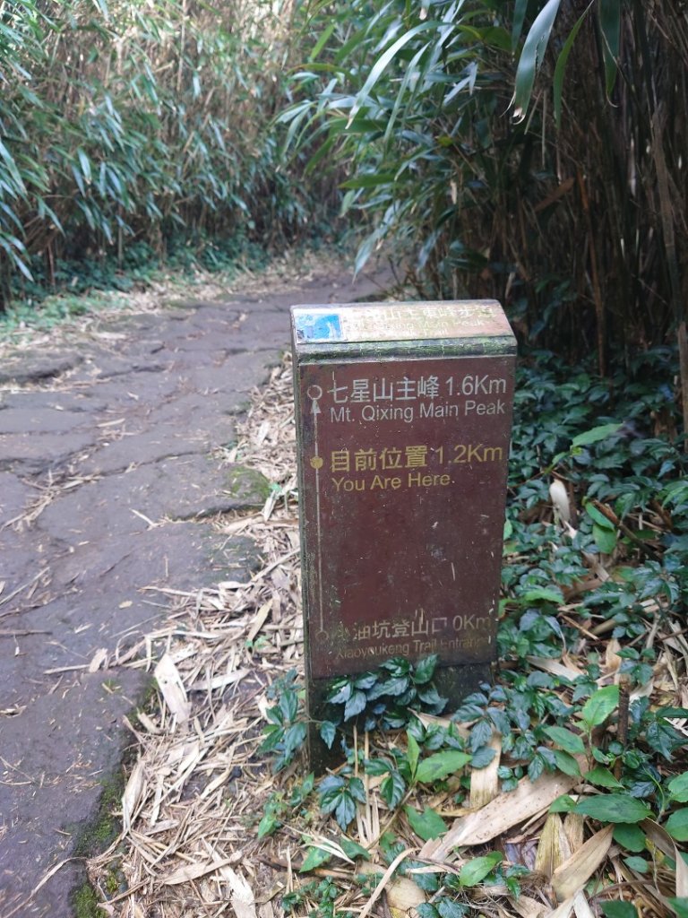 陽明山之七星山主峰封面圖