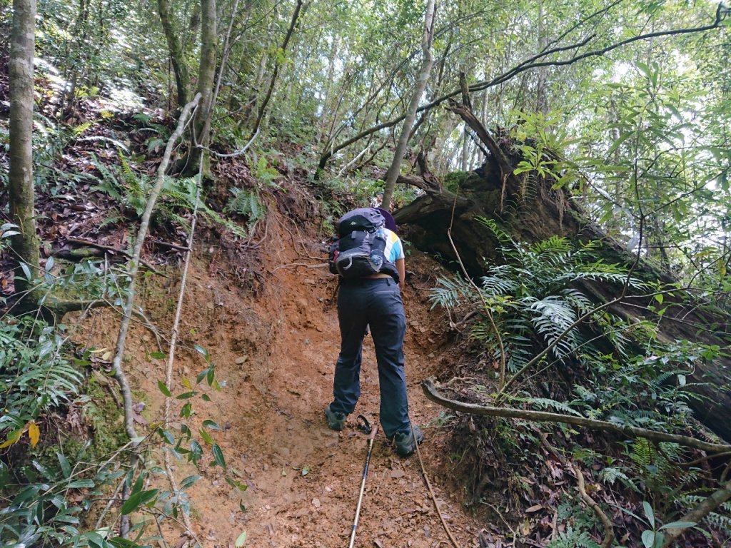 哈加縱走（哈堪尼山、加里山）_1051376