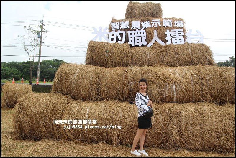 2019桃園農業博覽會_693326