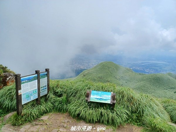 【台北北投】搭捷運公車爬山趣。 小百岳集起來。編號2小百岳~七星山步道封面圖