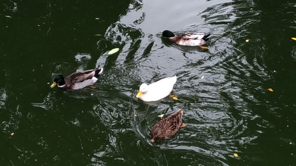 幽幽思古情!_224068