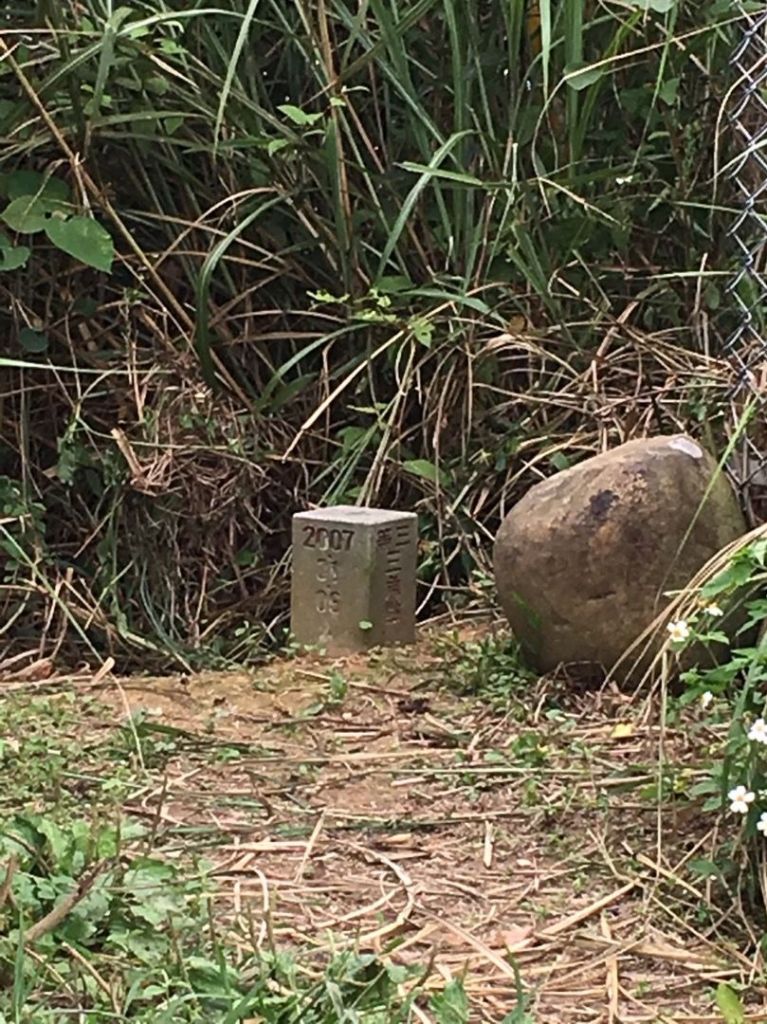 大崎棟古道 落英繽紛 青山白了頭_329638