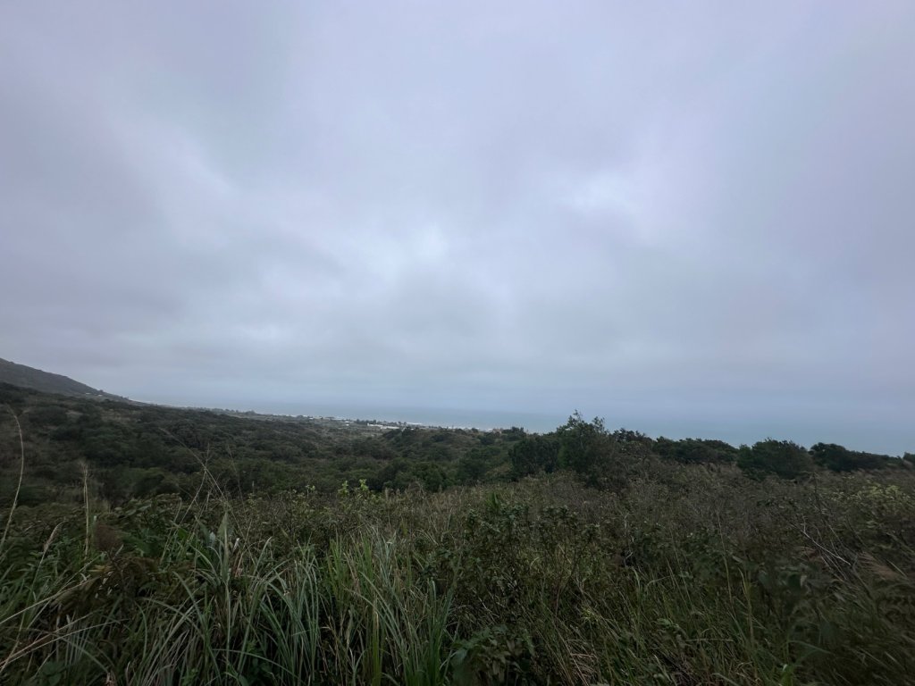 苗栗抹茶山_2648952