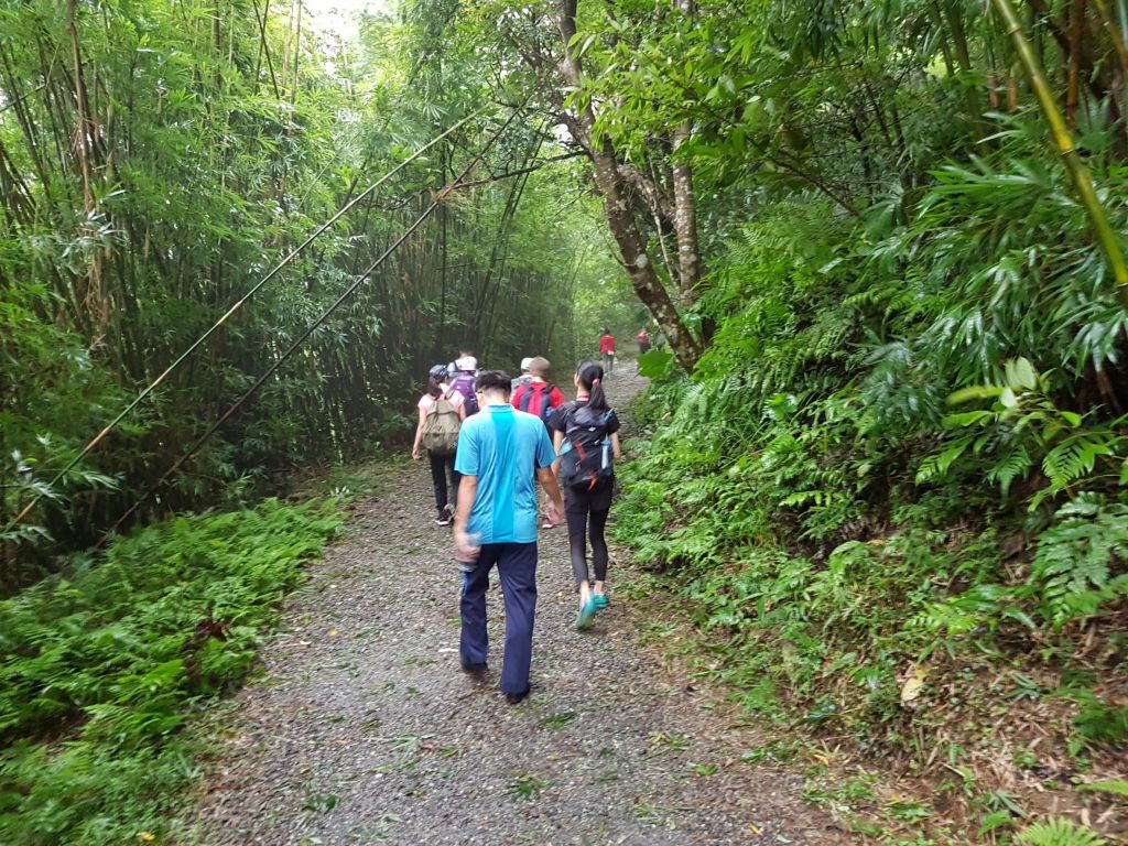 聖母登山步道_410511