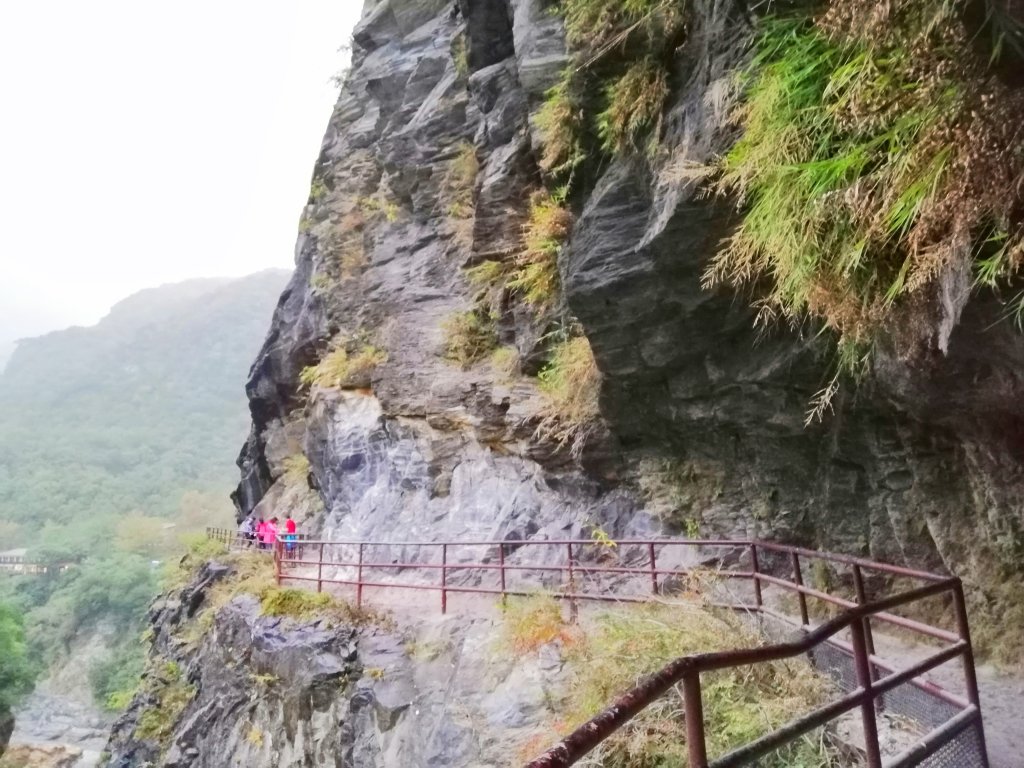 青山綠水雲霧繚繞。 綠水合流步道封面圖