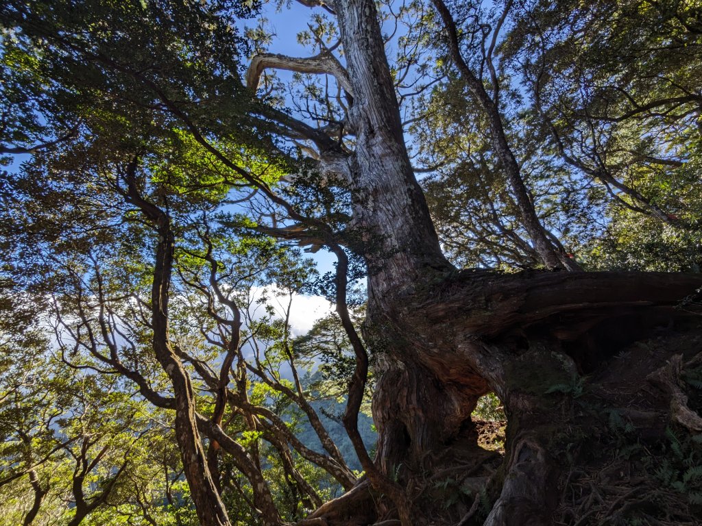 魯培山南插天山_2357456