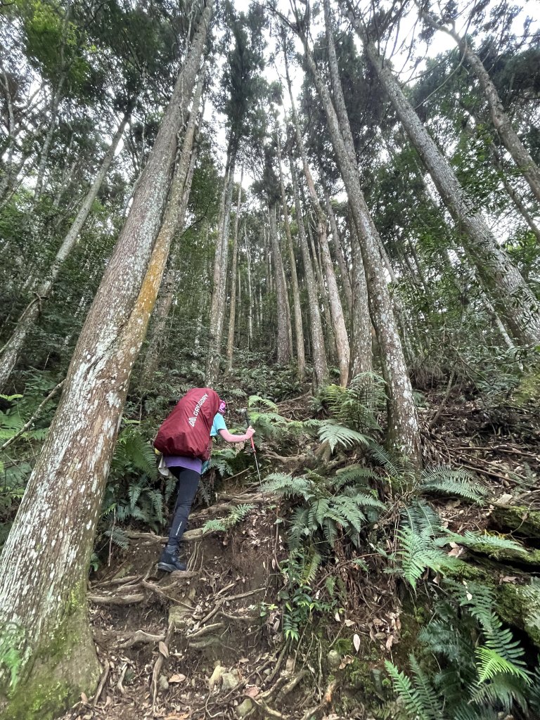 松鶴上佳保台山-2021.09.18_1489360