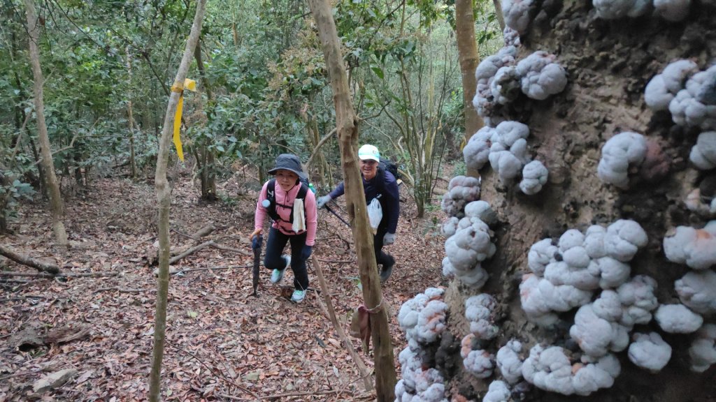 衣丁山單攻初體驗2025年3月30日_2749810