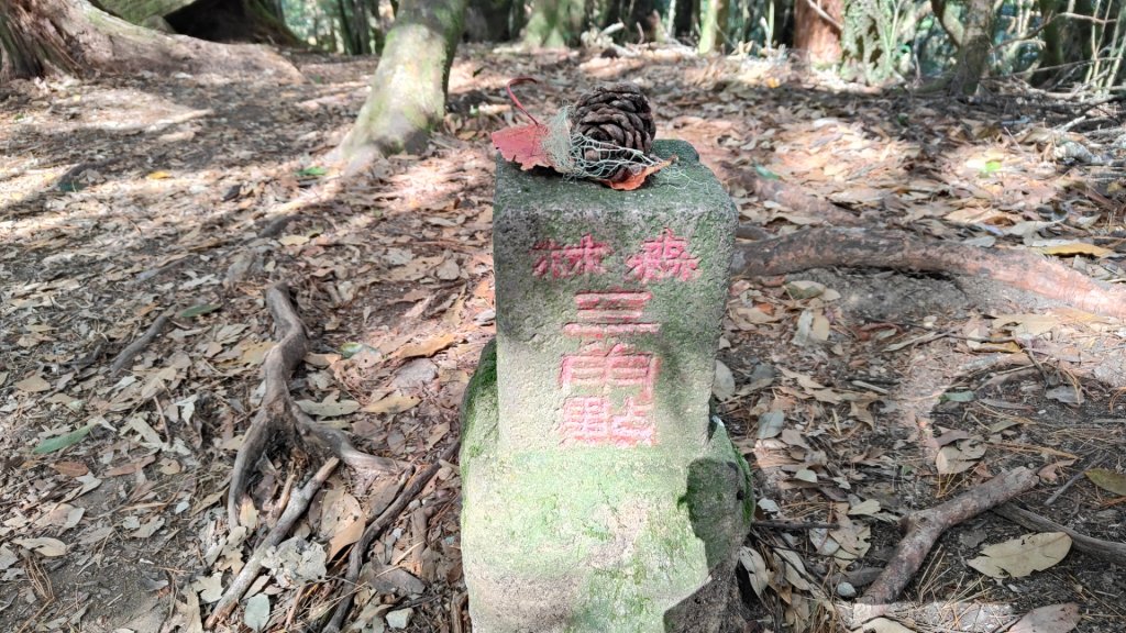 波鞍船稍G屋東_2688227