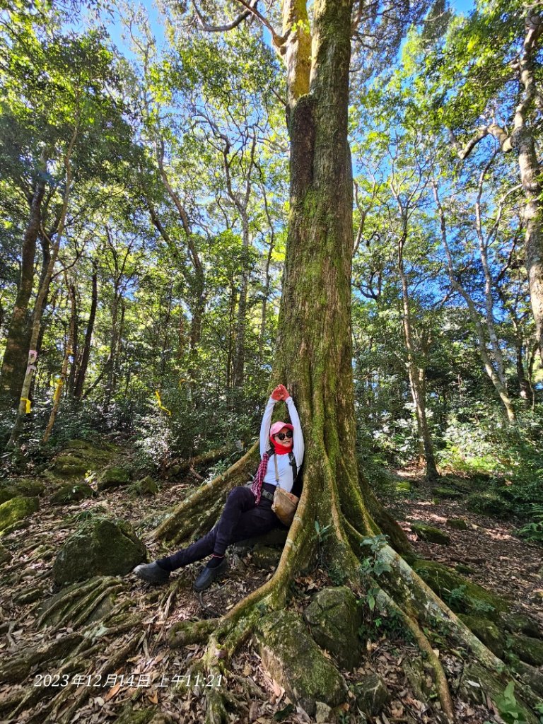 新竹尖石蓮包山+鴛鴦谷鰻潭瀑布O型走_2379109
