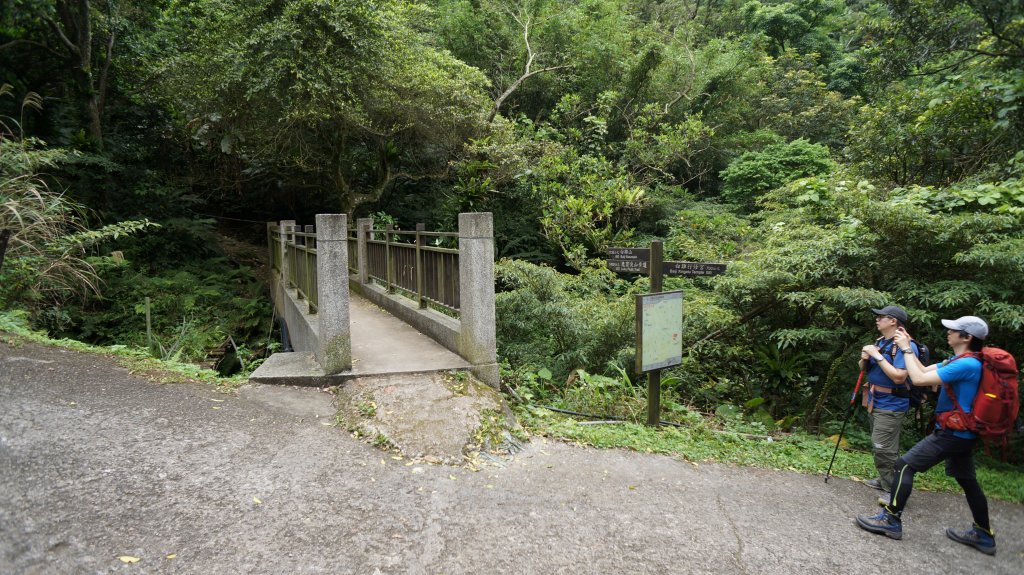 白雞山連走之花_573904